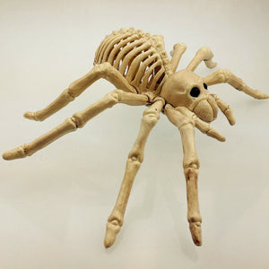 Halloween Skeleton Prop Spider Mouse Prop Animal Bones