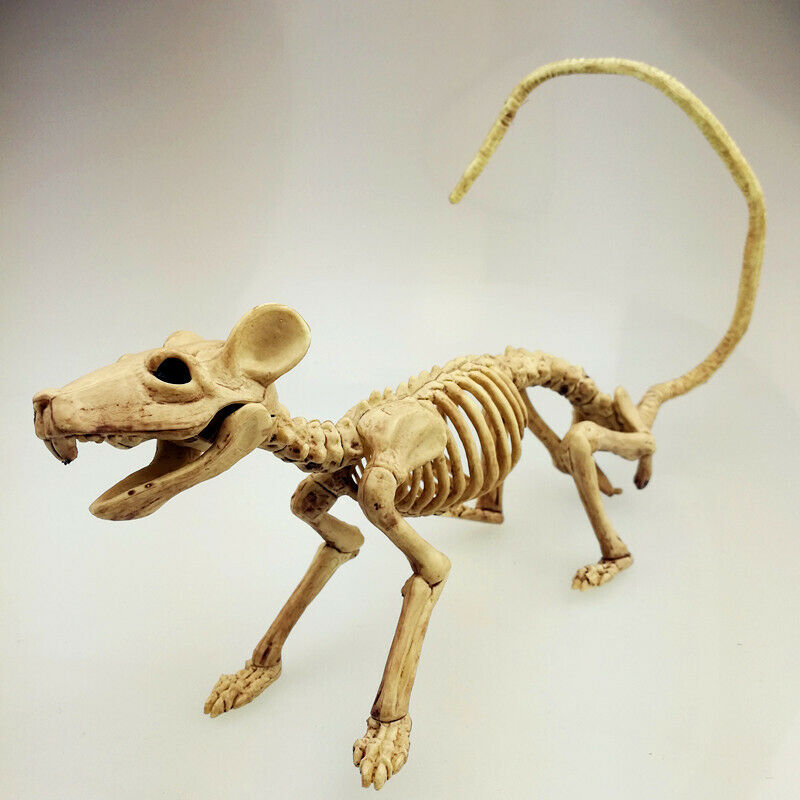 Halloween Skeleton Prop Spider Mouse Prop Animal Bones